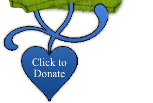 <p>Donate To FNMS</p>